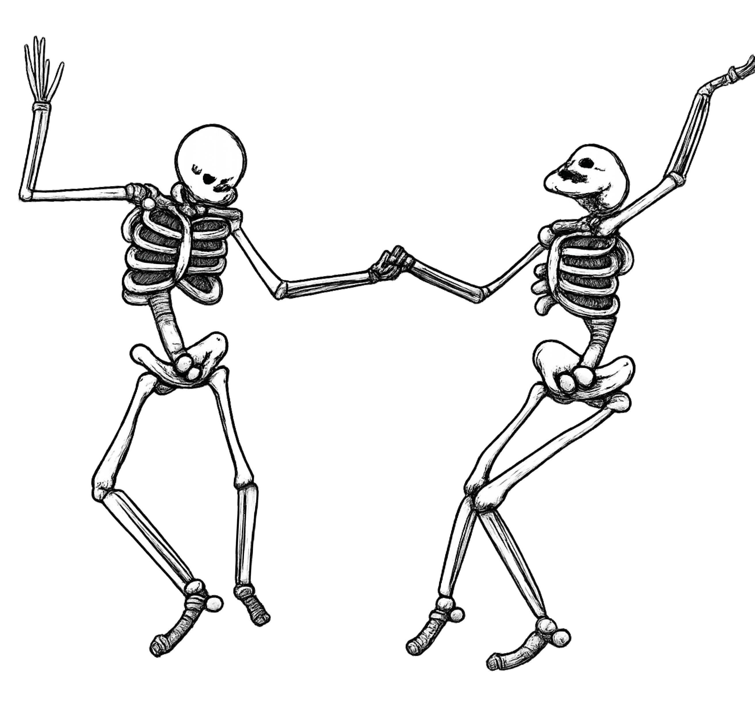 Illustration of two skeletons dancing in a flower meadow